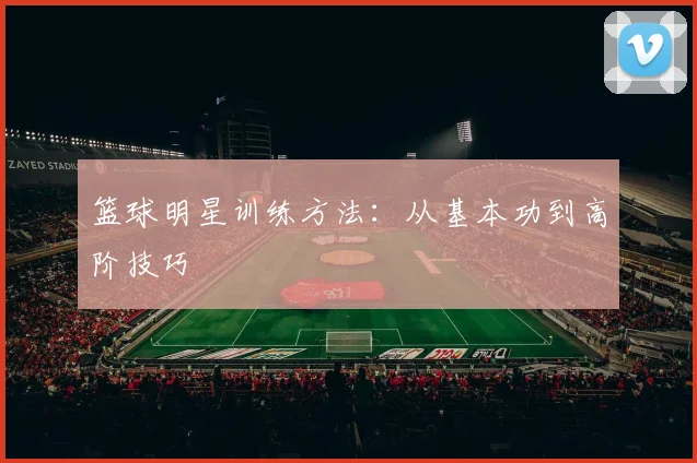 篮球明星训练方法:从基本功到高阶技巧