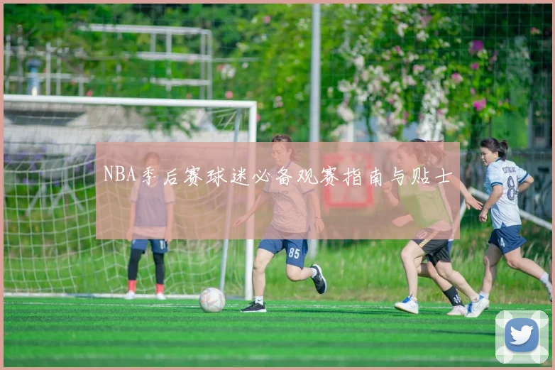 NBA季后赛球迷必备观赛指南与贴士