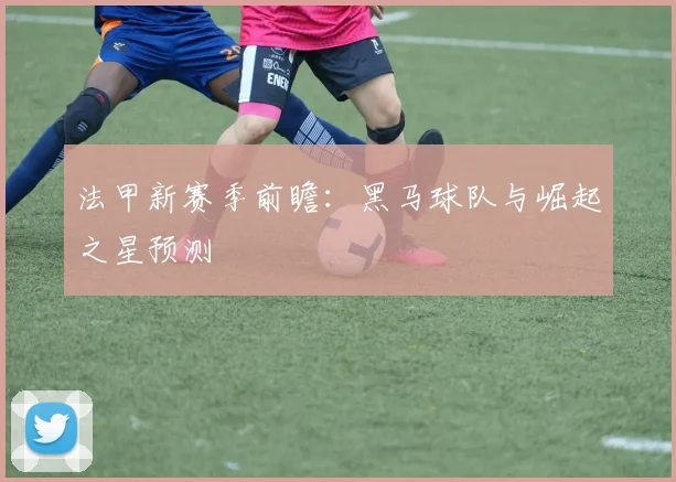 法甲新赛季前瞻：黑马球队与崛起之星预测